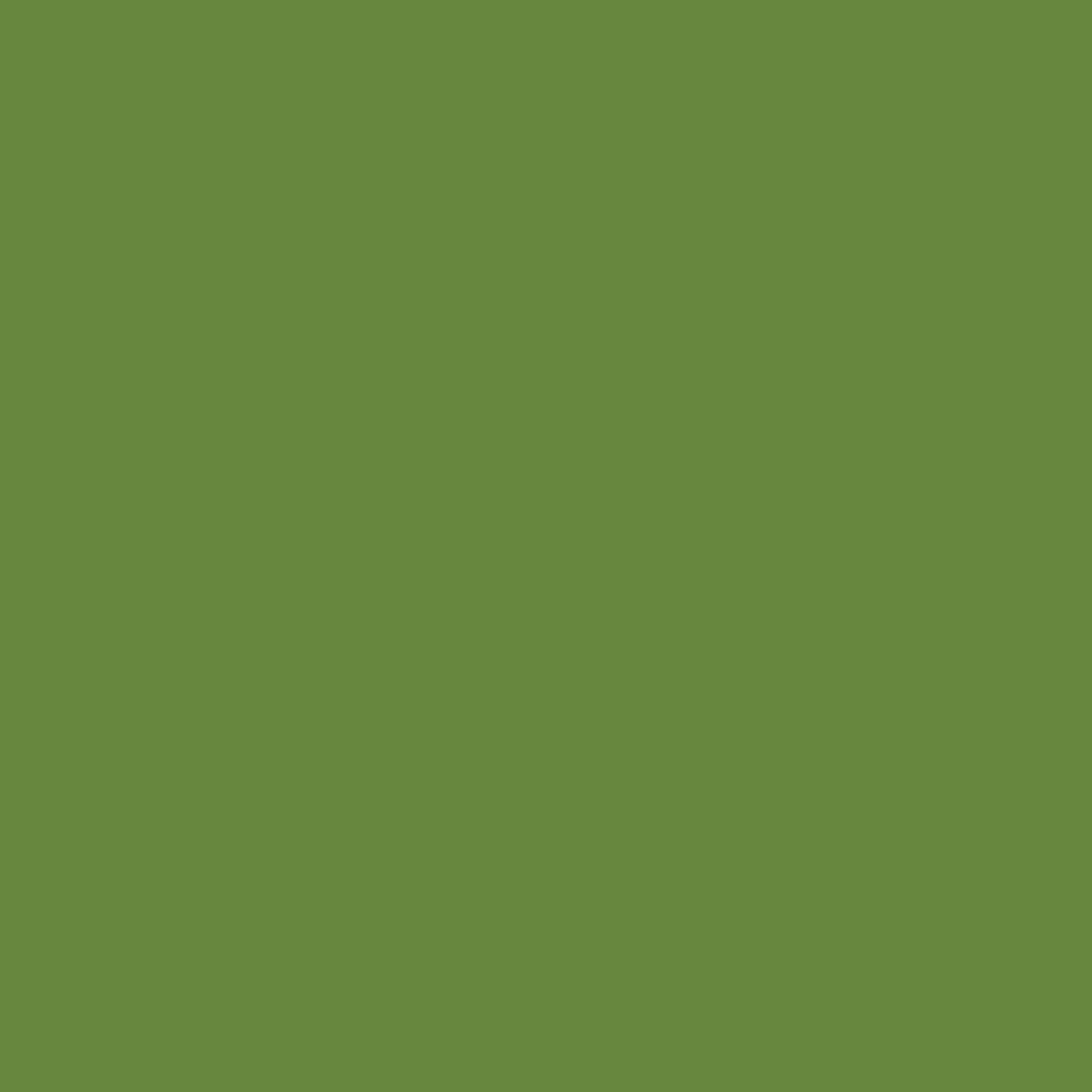 Denny Manufacturing - Telón de fondo de papel sin costuras para fotografía, rollo de papel verde sin costuras – Pantalla verde (86 pulgadas x 36.8 pies) Incluye rollo de cinta adhesiva (2 pulgadas x