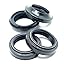 Oil and Dust Seals