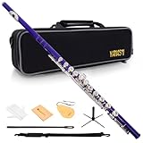 YANASON Purple C Flute Closed Hole 16 Keys Flute Nickel-Plated for Beginner, Student and Professionals with Carrying case, Metal stand, Gloves, Tuning Rod, Cleaning kit(Purple)