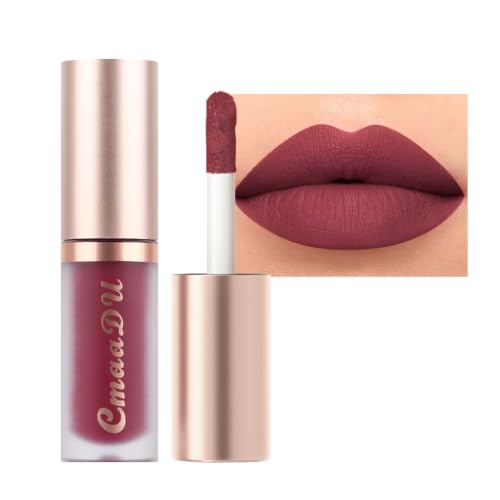 Image of evpct 6Pcs Maroon Red Silky Velvet Matte Liquid Lipstick Lip Gloss Set for Women Long Lasting 24 Hours Color Stay Lipstick labiales matte larga duracion mate 24 horas originales 10#