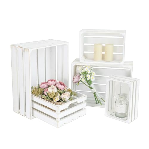 JUMBO HUMBLE Large Wooden Crates, Set of 5 Wood...