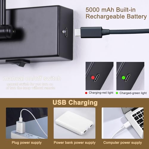 Luz de imagem operada por bateria com controle remoto de 40,6 cm, luz de arte de latão para pintura,