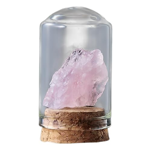 [prosekor]7/25VRzΕW{Zbg ΂ ΕW{yےnwcF IGC {̒nW{zKXr+ؐX^h W{Lbg ۂݏ qǂTCGXLbg NX}X v[g bN~l RNV 