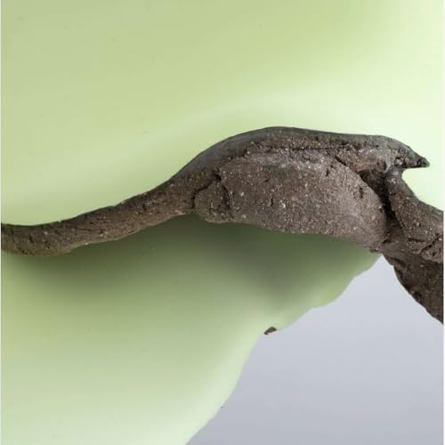 Teresa Solar Abboud: Emerging Bodies, Hybrid Forms
