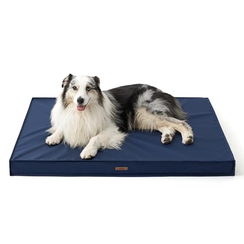 10 Best Waterproof Fabric For Dog Bed