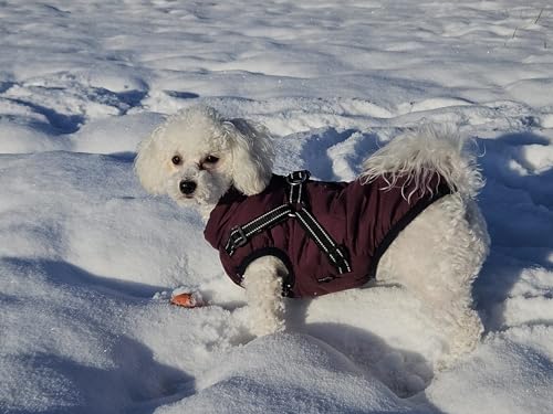 Hundejacke Winterweste Jacken Hundemantel Hundepullover Haustier Skifahren Kostüm Ärmellose Baumwolle Gepolsterte Weste Mit Brustgurt Gurt (Lila, M)