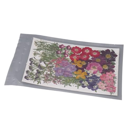 Flores prensadas secas naturales kit 110 piezas para manualidades miniatura 5