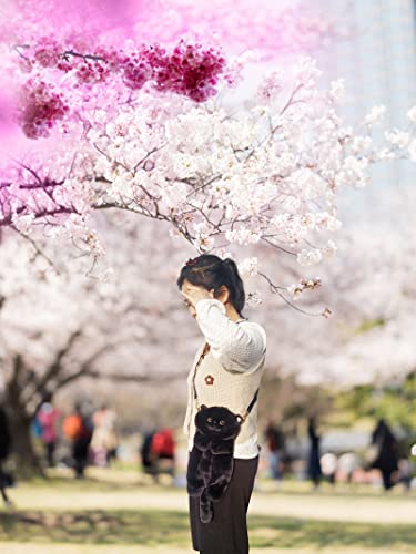 HUIJUFU Realistische geschwollene Plüsch-Umhängetasche in Katzenform, für Damen, Schwarz