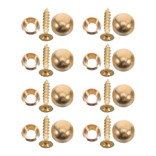 Ipetboom 16 t  t@Xi[ Zt ^bsO lW Lrlbgp t@Xi[ n[hEFA lW  Jo[ Œ Ǘp A