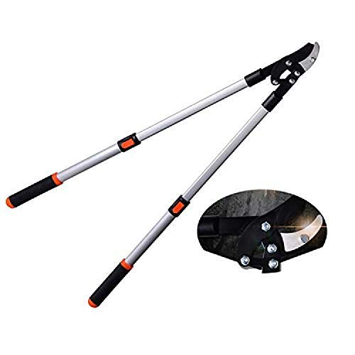 HODAGES Sécateur, Télescopique Enclume Coupe-Branches 62-100 Cm Coupe-Branches Coupe-Branches avec poignées à Levier Système d'économie d'énergie à Levier à Quatre Points