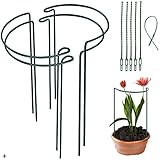 ThxToms 4Stück 5mm Dunkelgrün Halbrund Pflanzenstütze Rund (50cm x 30cm) mit 6*Pflanzenbinder| Staudenhalter Pflanzenhalter Rankhilfe| Rankgitter Metall Pflanzring, Blumenstütze, Tomaten, Pflanzringe