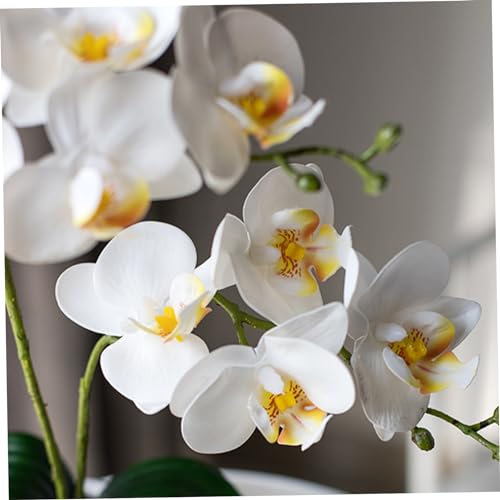 Orchidée artificielle durable solution pour fausse orchidée sans entretien de bureau - 5