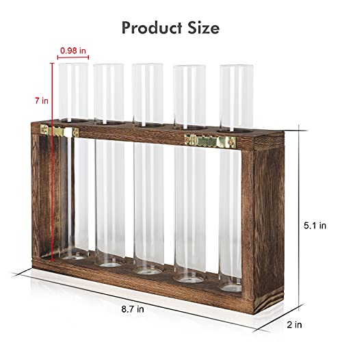 Cekpo 2 Pack Plant Propagation Station, Test Tube Planter, Wall Hanging Glass Planter, Plant Terrarium Test Tube With Wood Stand For Propagating Hydroponic Plants Holder Garden Desk Home Wall Decor #TOP1
