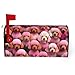 Red Poodles Dogs Magnetic Mailbox Cover,Durable Stylish Standard Mailbox Covers Easy to Install for All Seasons