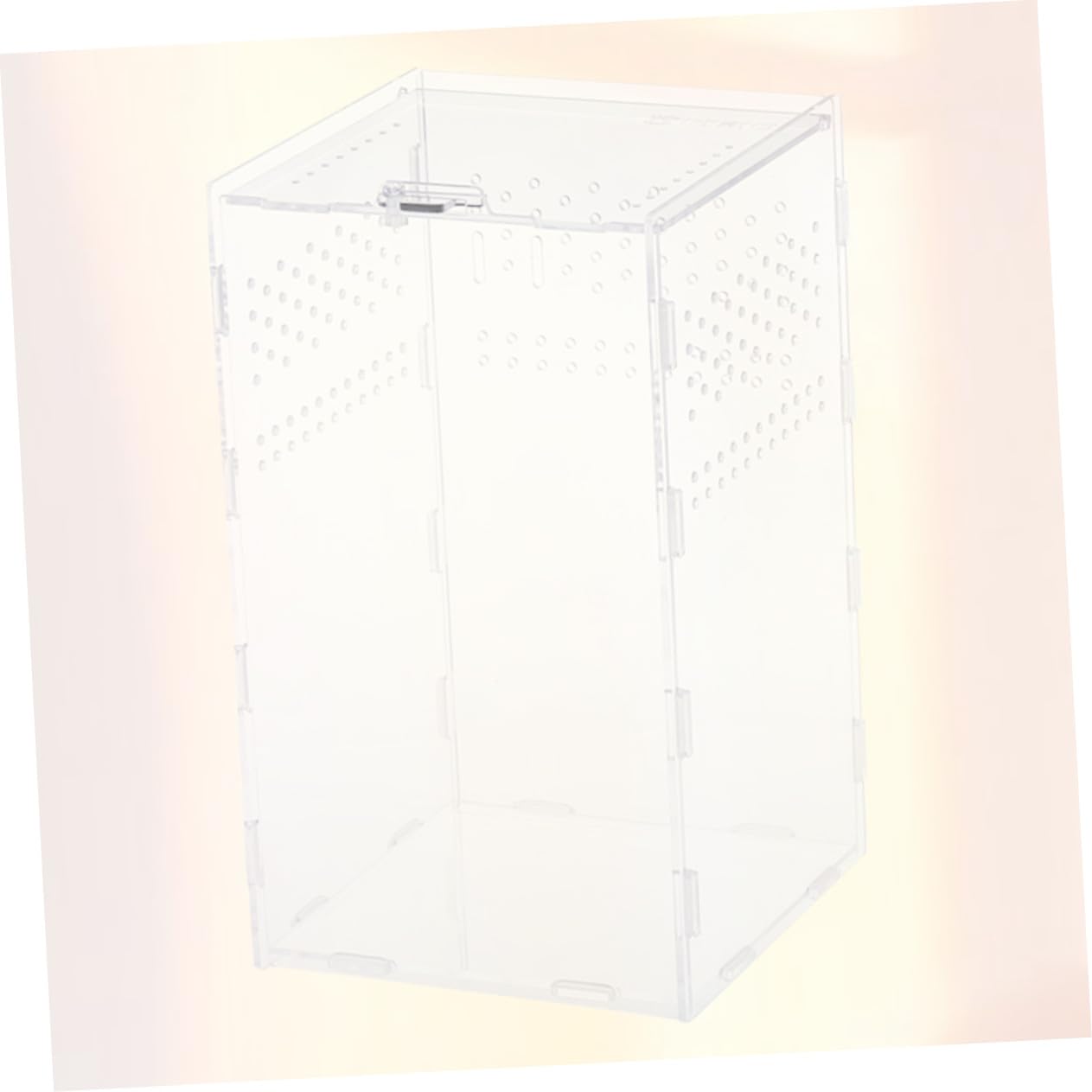 Toyvian Caja de Cría para Reptiles y Insectos de Acrílico Transparente Orificios Ventilados, Tapa Extraíble y Fácil Limpieza, Adecuado para Terrario Doméstico y Cría, Arañas o Isópodos