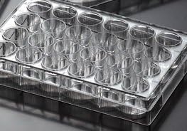 EarthOx Sterile Tissue Culture Plate 24 Well - Non- Treated (4 Plates)
