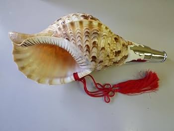 Amazon.co.jp: 法螺貝 ほら貝 笛 楽器 吹き口付 全長約31cm 魔除け