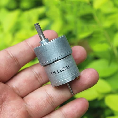 Moteur à engrenages réducteur 27mm 310 DC 6V double arbre lent