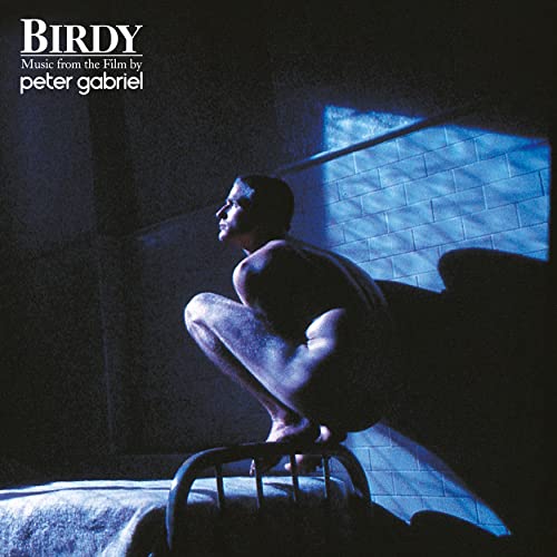 Album Art for Birdy: Music From The Film by Peter Gabriel