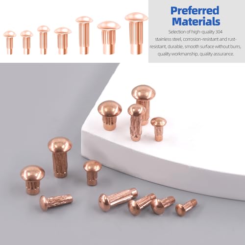 Glarks 170pcs Solid Nieten Knulled Shanks Set, M2 M2.5 M3 M4 Halbrunder Kopf Rot Kupfer Solid Nieten Sortiment Kit mit Aufbewahrungsbox Home Outdoor Hardware Tool