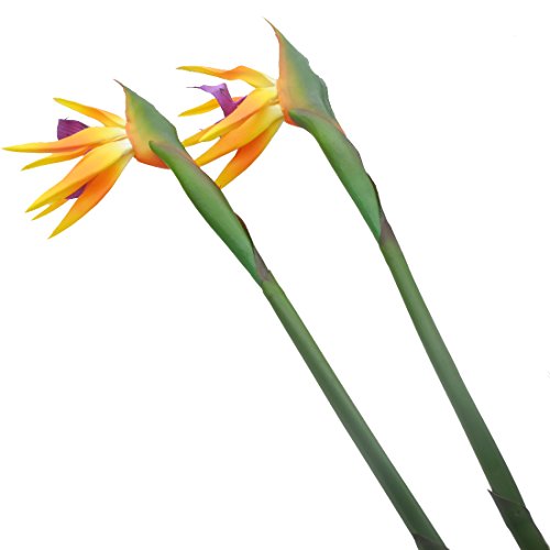 Calcifer 32'' Real Touch Bird Of Paradise Artificial Flowers Bouquet For Home Garden Decoration/Wedding Party Decor Orange (Package Quantity: 5 Stems) #TOP4