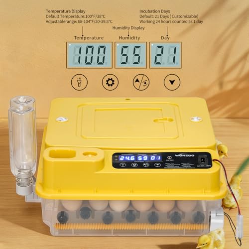 Winado Incubators for Hatching Eggs, 30 Egg Incubator with Automatic Egg Turning, Temperature & Humidity Control, Egg Candler, Automatic Water Filling and Day Counter for Eggs Hatching