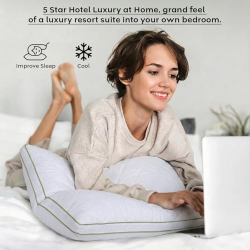 Image of AYKA Ultimate Quilted Bed Pillow Set of 2 | 100% Virgin Microfiber Filling for Neck & Shoulder Support | 17x27 inch Breathable Hotel Quality Pillows | Never Flat, Anti-Bacterial | Supersoft