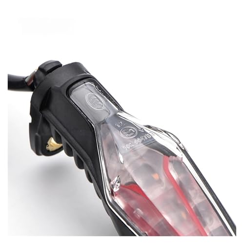 Luz trasera e intermitentes LED para rutas en BMW R1250GS 2022 2