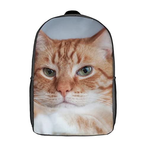 Sac à dos d'école léger 17 pouces avec grand compartiment chat 3D
