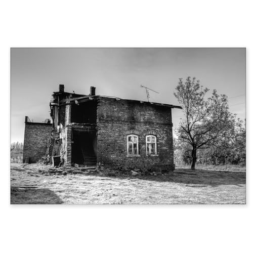 Art mural maison retro toile noir et blanc ZYJGXYGZQ deco salon design moderne 40x60