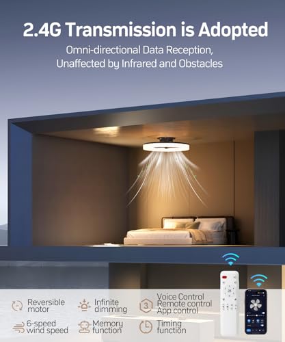Smart Ceiling Fans with Light and Remote,20'' Low Profile Ceiling Fan with 6-Speed & Dimmable LED, Alexa/APP Home Voice Control, App, Reversible Airflow, App Timer, for Beedroom(Black)