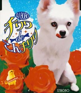 DJ BoBo Chihuahua