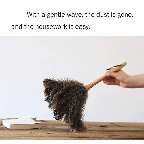 Ostrich Feather Duster,Feather Duster Fluffy Natural Genuine Ostrich Feathers With Wooden Handle And Eco-Friendly Reusable Handheld Ostrich Feather Duster Cleaning Supplies, Gray And Brown(Length 16") #TOP6