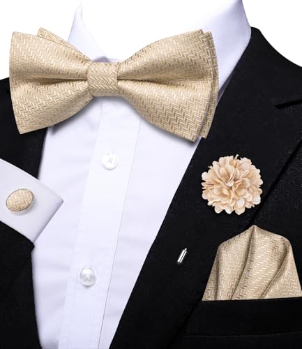 Image of Hi-Tie Bow Ties for Men Pre-Tied Pocket Square with Cufflinks Mens Bowtie Sets for Wedding Formal Party