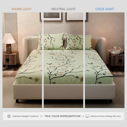 Image of BLISSHOME SoftTouch 140TC Cotton King Size Fitted Bedsheet with 2 Pillow Covers, Silky Smooth Bedding Set, Breathable, Easy Maintain, Floral Print - Yellow (182cm x 198cm x 25cm Drop)