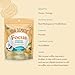 Four Sigmatic Focus Vanilla Coffee Creamer | Organic Non Dairy Coffee Creamer with Lion’s Mane and Vitamin B12 | Vanilla, 4.23 oz