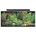 SeaClear 40 gal Acrylic Aquarium Combo Set, 36 by 15 by 16", Clear