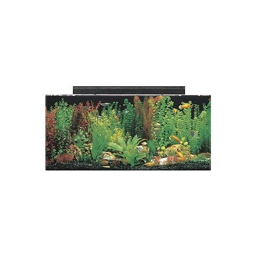 SeaClear 40 gal Acrylic Aquarium Combo Set, 36 by 15 by 16", Clear
