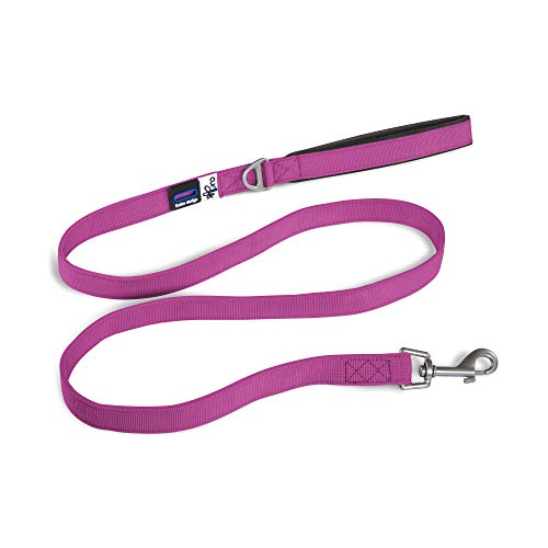 Basic Leash Fuchsia M