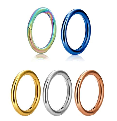 Ti-Vision Titanium Nose Rings 16G – Seamless Hinged Clicker Hoop