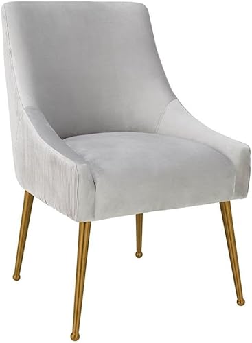 TOV Furniture Beatrix - Silla auxiliar de terciopelo de transición de 19 pulgadas, color gris claro