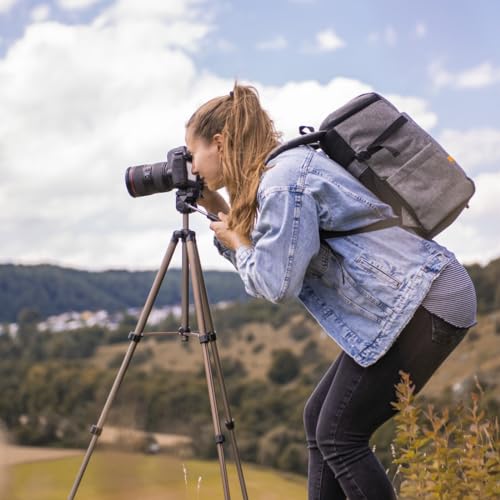 Hama Leichtes Einsteiger-Dreibeinstativ mit 3-Wege-Kopf, Star 75 125-3D, Champagner