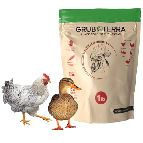 GrubTerra Golden Dried Black Soldier Fly Larvae - Premium Supplement to Increase Egg Production for Hen Treats, Bird Feed, Chicken Feeder, Pet Bird Food, and Wildbird Feed, Never from China! (1lb)