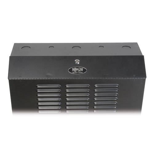 Tripp Lite 5U Vertical Wall Mount Rack Enclosure Cabinet, Low Profile, Switch-Depth, 20" Deep, Black (Srwf5U ) #TOP2