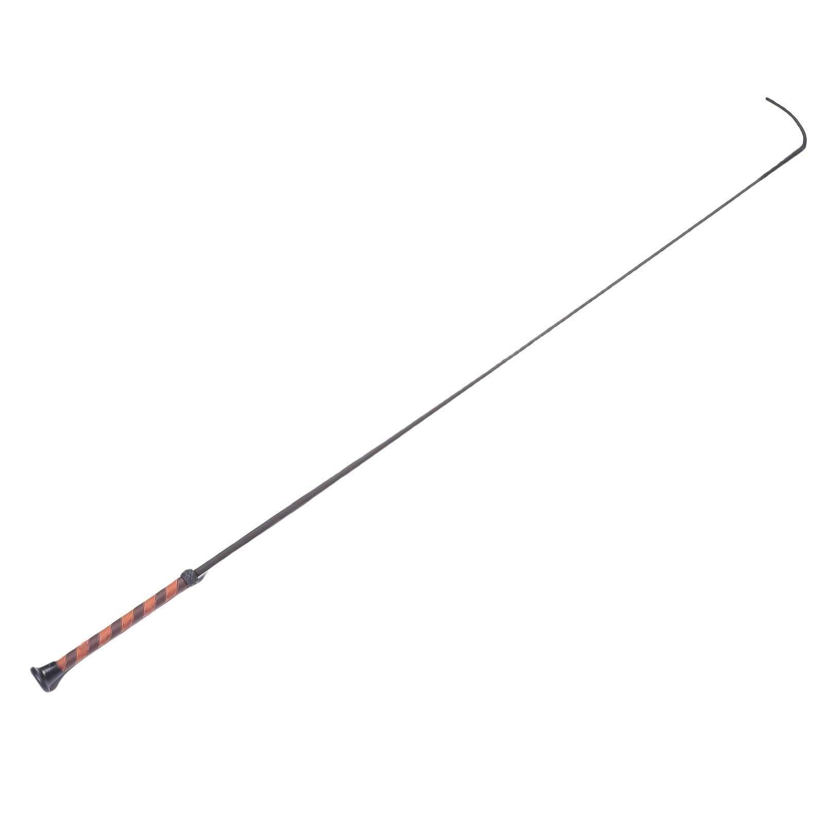RiToEasysports Cravache en Fibre de Carbone, 110 Cm, Tête en Nylon tissé pour L'entraînement équestre