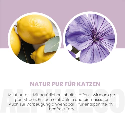 alphazoo Milbhunter Spot-On für Katzen 100 ml - mit Eukalyptusöl & Geraniol. Wirkt zuverlässig gegen Milben & pflegt die Haut. Natürlicher, alkoholfreier Milbenschutz für Katzen
