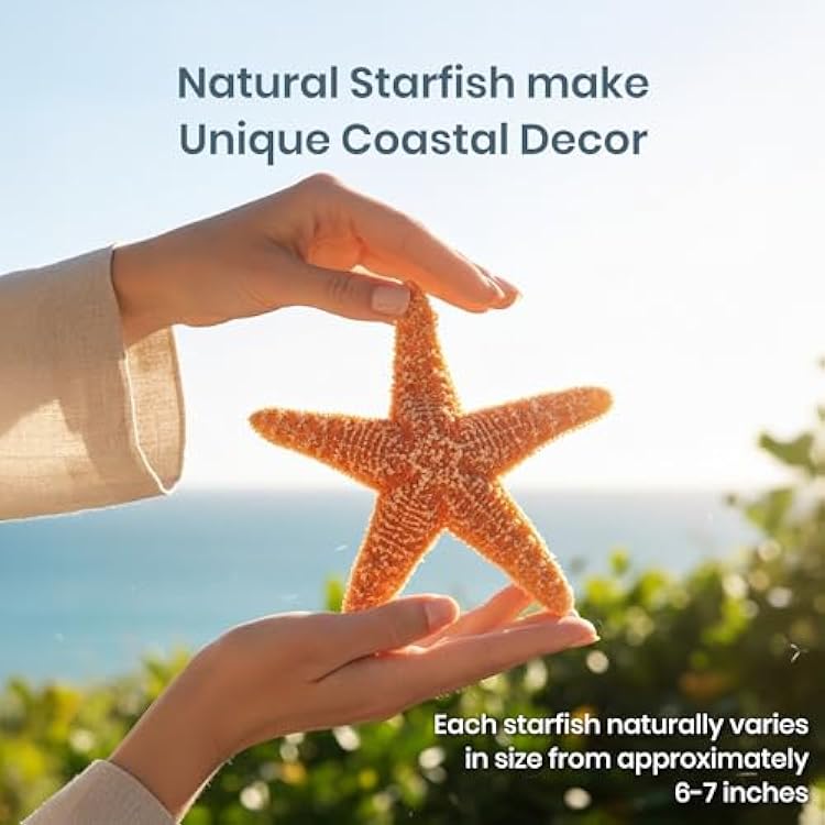 Nautical Crush Trading Real Starfish Decor - 2 Large Brown Sugar Star Fish (6-7in) - Starfish for Crafts - Star Fish Shells Decorations
