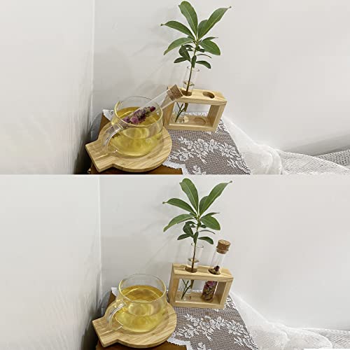 Glass Tea Infuser, Tea Strainer For Loose Leaf Tea（0.98Inx5.12In), Tea Diffuser For Loose Tea, Glass Test Tube Hydroponic Vase/Loose Tea Container With Log Stand #TOP2