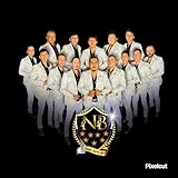 10039509 Records DK