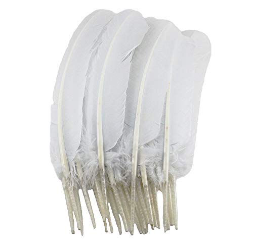 Turkey Feathers, White Turkey Round Quill Feathers (12-14